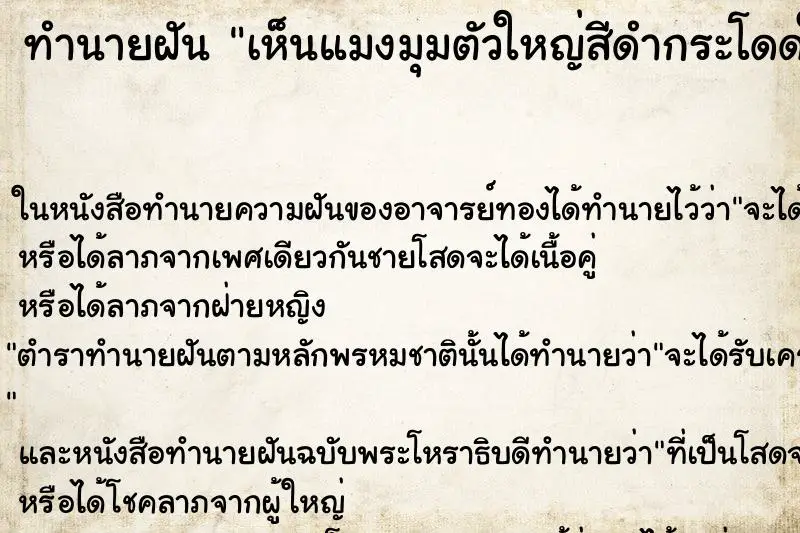 ทำนายฝัน เห็นแมงมุมตัวใหญ่สีดำกระโดดใส่หน้า 